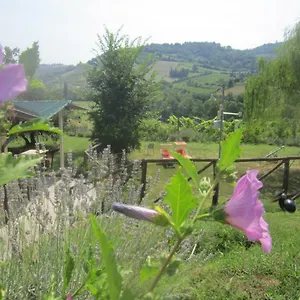 Le Spighe , Cesena Italia